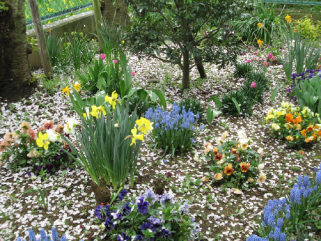 四季折々の屋外での催し