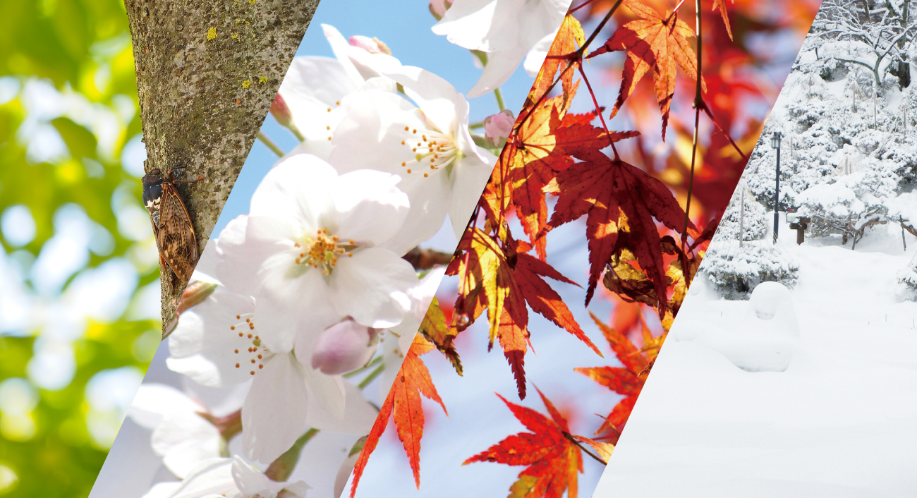 四季を感じる住まい